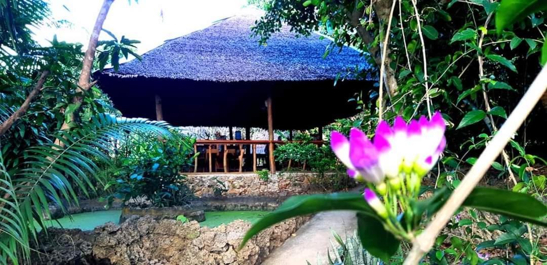 Вілла Kim'S Garden Анда Екстер'єр фото