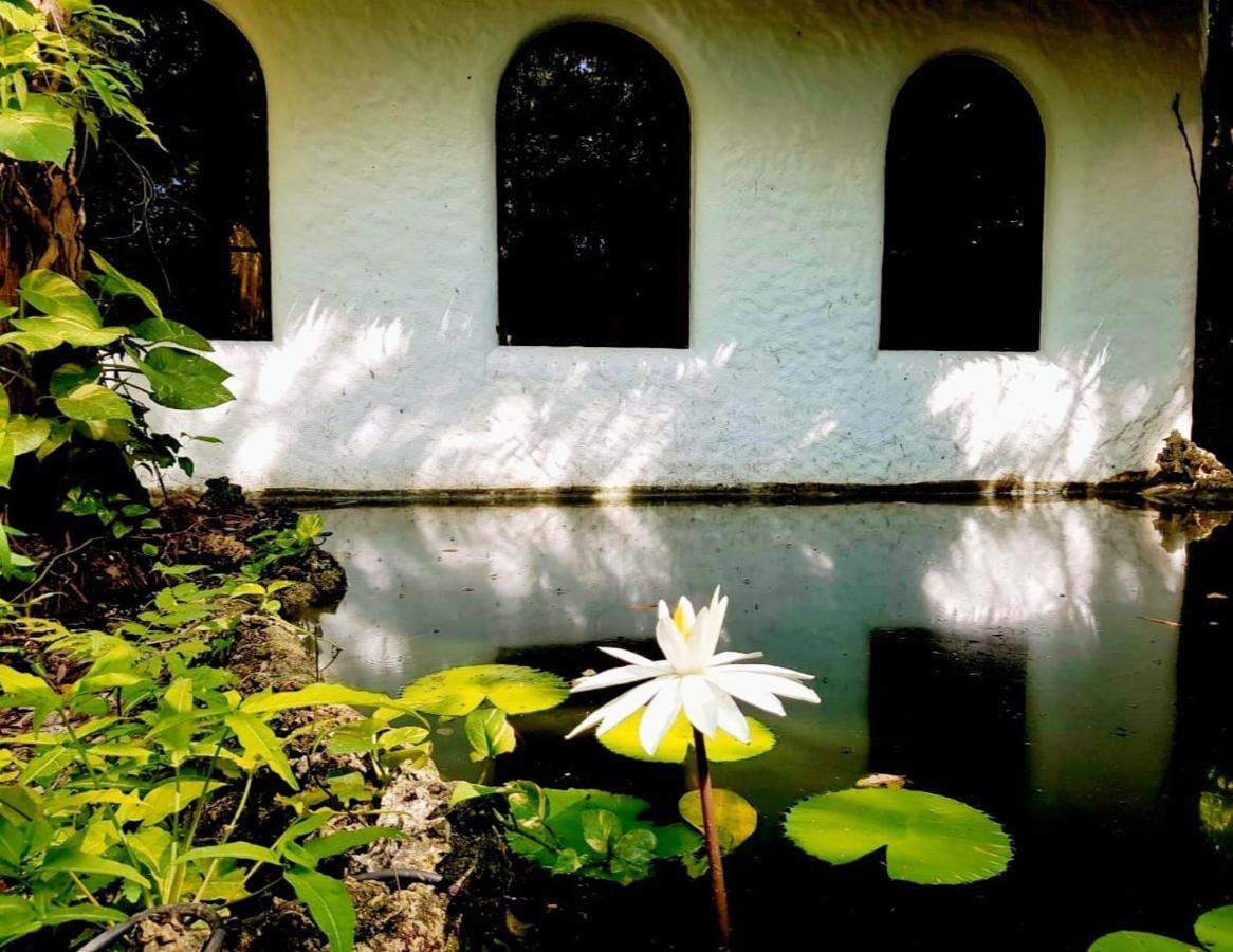 Вілла Kim'S Garden Анда Екстер'єр фото