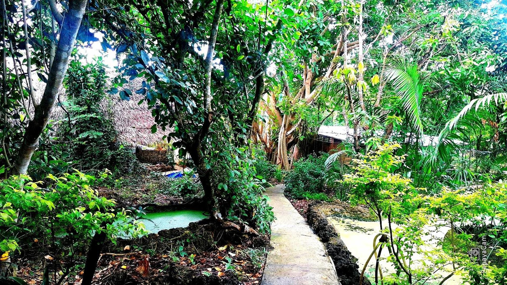 Вілла Kim'S Garden Анда Екстер'єр фото