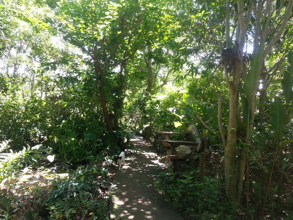 Вілла Kim'S Garden Анда Екстер'єр фото